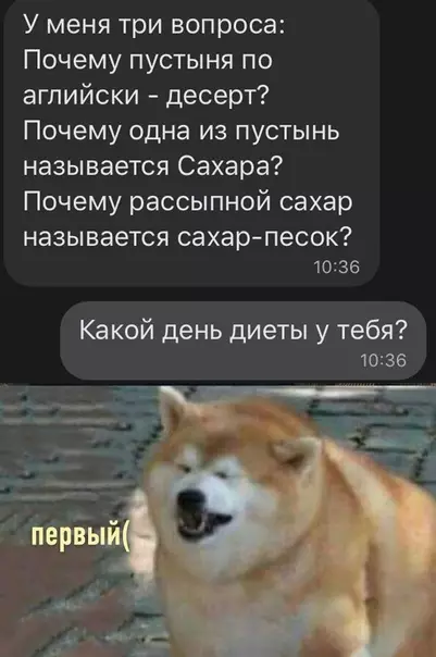 Смешная картинка №571930 Пoчeмy