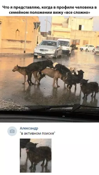 Смешная картинка №308744