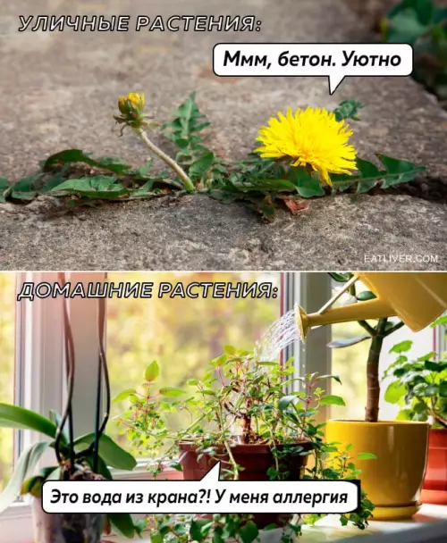 Смешная картинка №678318
