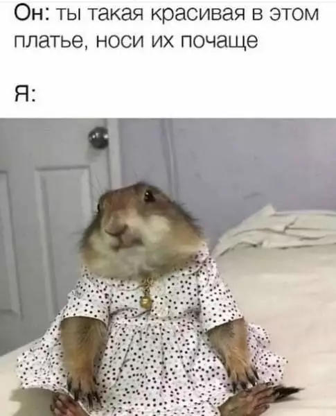 Смешная картинка №702909 Красивое платье 