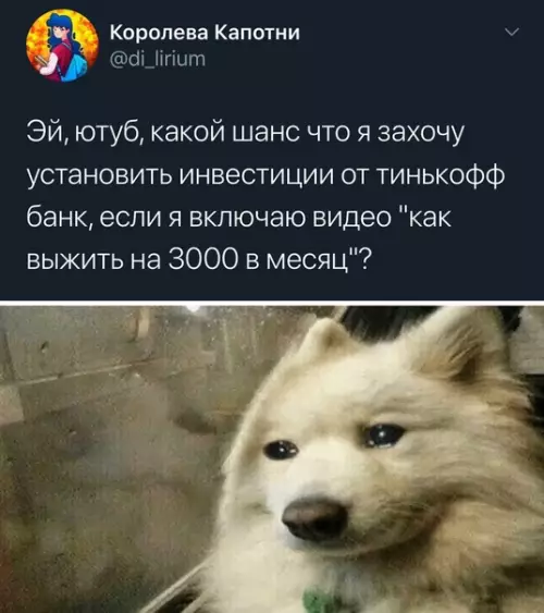Смешная картинка №516701
