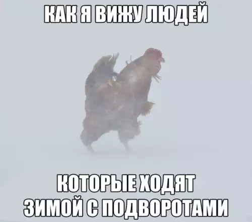 Смешная картинка №318864