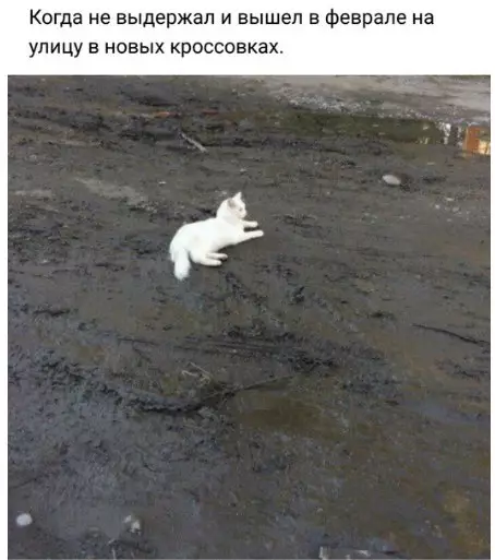 Смешная картинка №250172