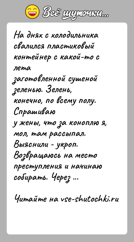 История: На днях с холодильника свалился пластиковый контейнер с какой-то с летазаготовленной сушеной зеленью. Зелень, конечно, по всему полу. Спрашиваюу жены,