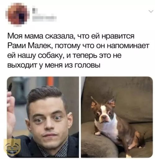 Смешная картинка №376115 #приколы #картинки #мемы ?