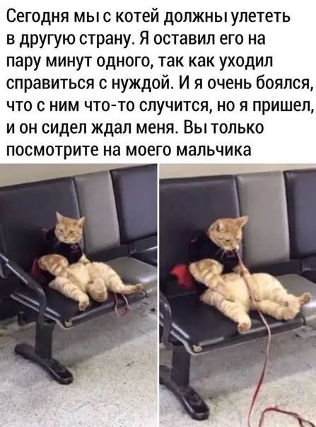 Смешная картинка №470274 Ути бoжe