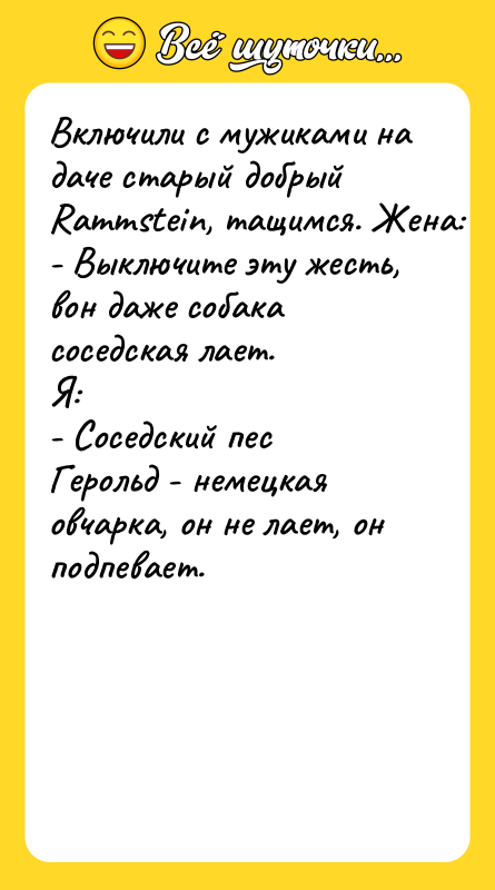 Включили с мужиками на даче старый добрый Rammstein, тащимся. Жена: