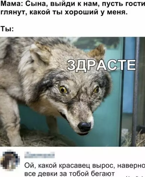 Смешная картинка №511188