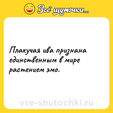 Шутка: Плакучая ива признана единственным в мире растением эмо.