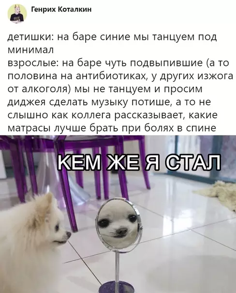 Смешная картинка №316081