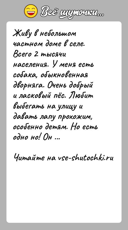 История: Живу в небольшом частном доме в селе. Всего 2 тысячи населения. У меня есть собака, обыкновенная дворняга. Очень добрый и