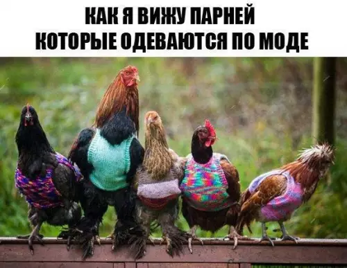 Смешная картинка №173830