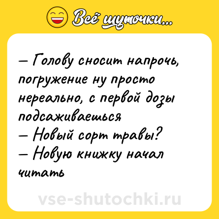Шутка: — Голову сносит напрочь, погружение ну просто нереально, с первой дозы подсаживаешься <br>— Новый сорт травы? <br>— Новую книжку начал читать