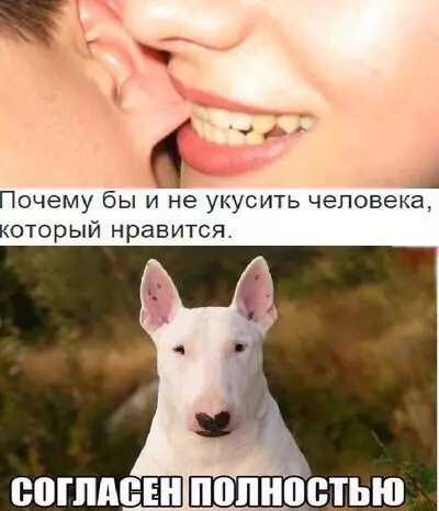 Смешная картинка №226388