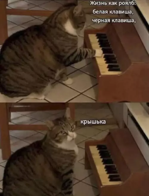 Смешная картинка №797047