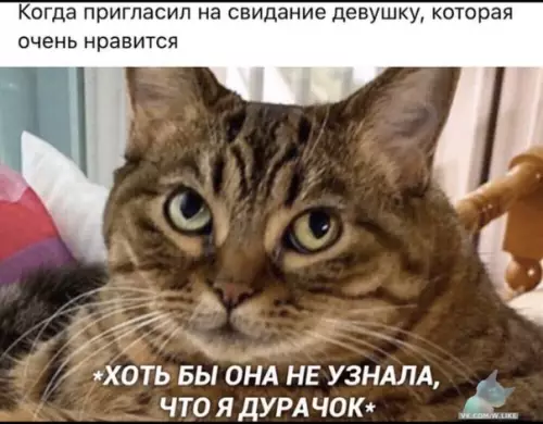 Смешная картинка №414584