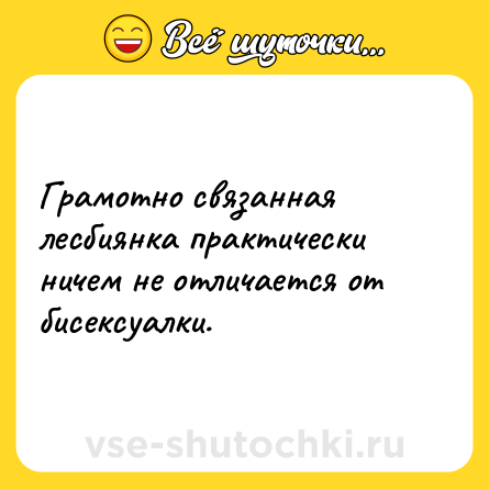 Шутка: Грамотно связанная лесбиянка практически ничем не отличается от бисексуалки.