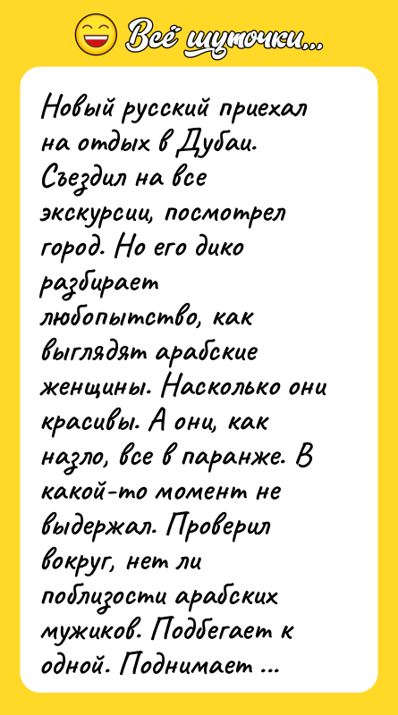 Новый русский приехал на отдых в Дубаи. Съездил на все