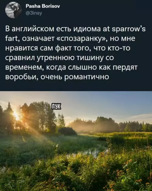 Смешная картинка №722468