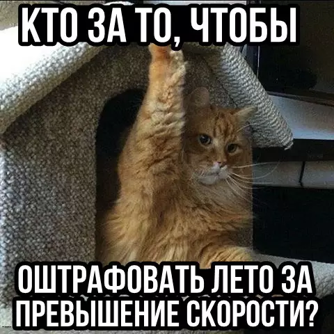 Смешная картинка №289367
