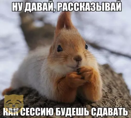 Смешная картинка №326860
