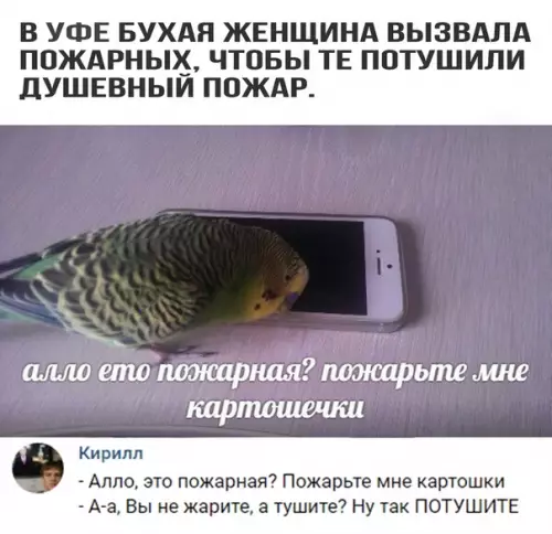 Смешная картинка №333198