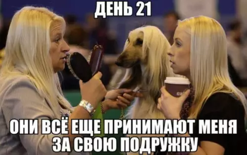 Смешная картинка №224811