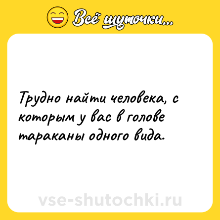 Шутка: Трудно найти человека, с которым у вас в голове тараканы одного вида.