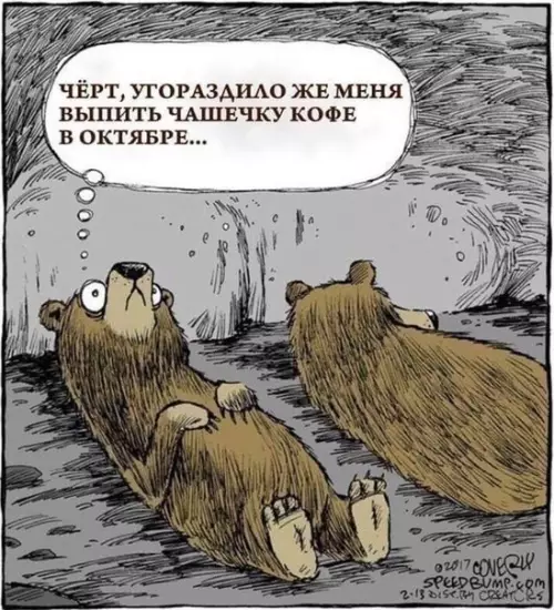 Смешная картинка №431790 Проблемы медведей