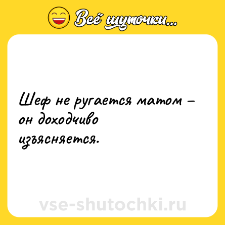 Шутка: Шеф не ругается матом – он доходчиво изъясняется.