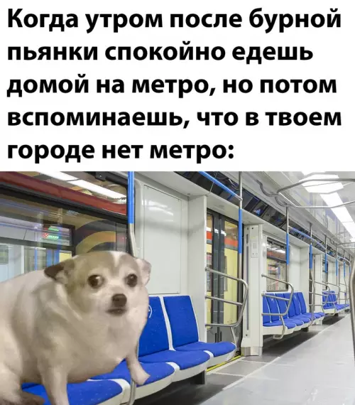 Смешная картинка №633309