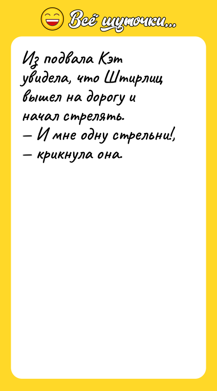 Из подвала Кэт увидела, что Штирлиц вышел на дорогу и