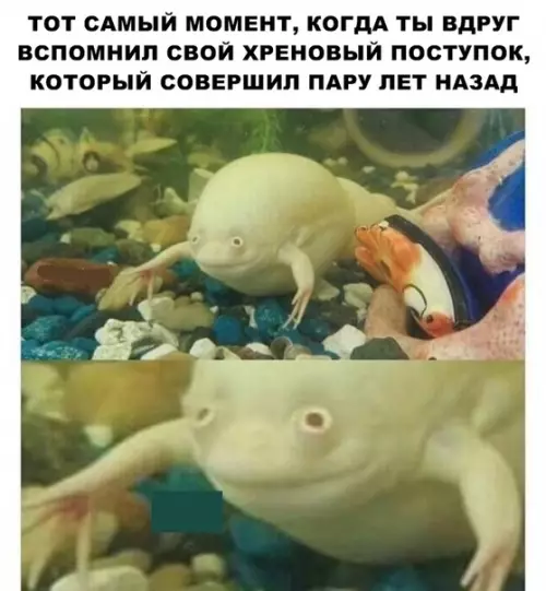 Смешная картинка №289467