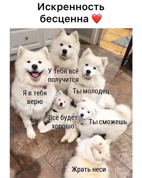Смешная картинка №591383