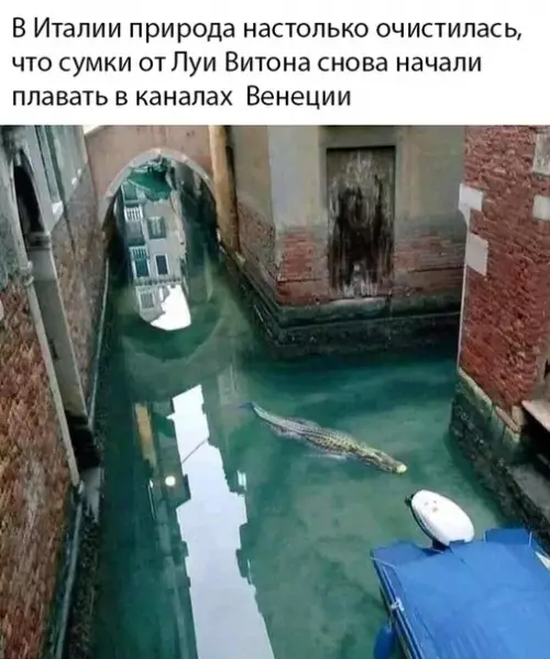 Смешная картинка №490164