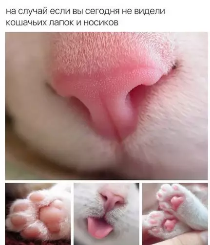 Смешная картинка №247235