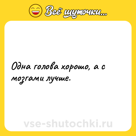 Шутка: Одна голова хорошо, а с мозгами лучше.