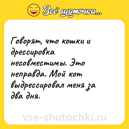 Шутка: Говорят, что кошки и дрессировка несовместимы. Это неправда. Мой кот выдрессировал меня за два дня.