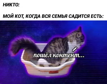 Кот-космонавт летит за едой 🐈‍⬛🚀 - НИКТО: МОЙ КОТ, КОГДА ВСЯ СЕМЬЯ САДИТСЯ ЕСТЬ: пошёл контент...