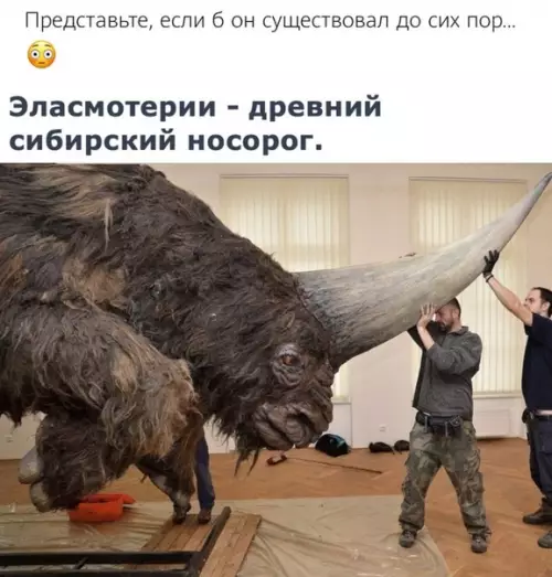 Смешная картинка №509451 Тогда бы побоялись леса вырубать