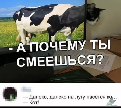 Смешная картинка №410864