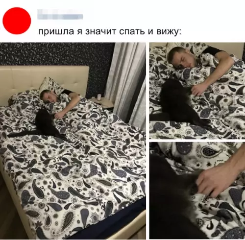 Смешная картинка №317597