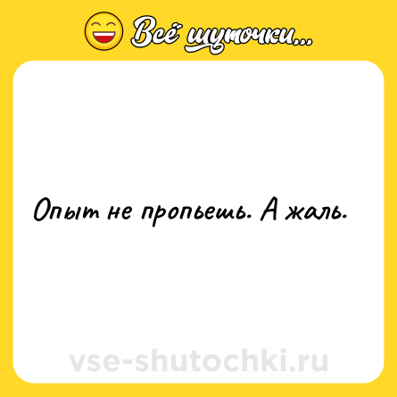 Шутка: Опыт не пропьешь. А жаль.