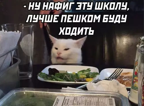 продолжение Смешная картинка №616117