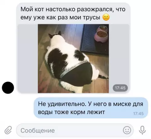 Смешная картинка №287360