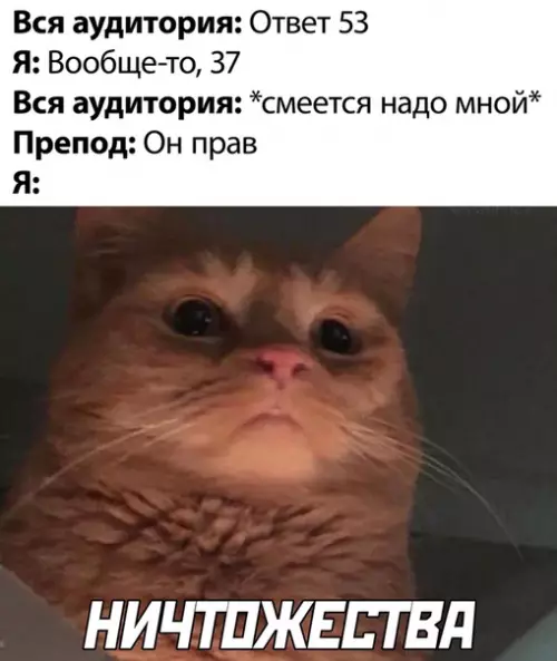 Смешная картинка №504904