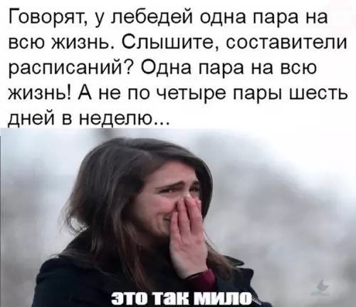 Смешная картинка №465834
