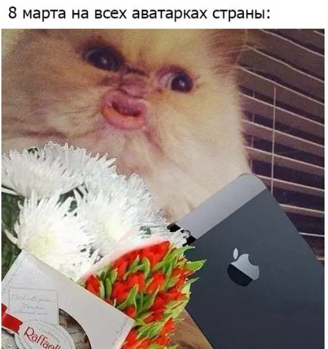 Смешная картинка №252859 8 марта