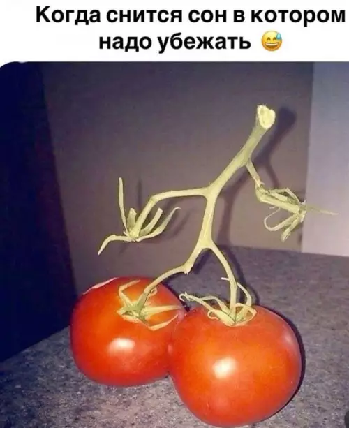 Смешная картинка №784228