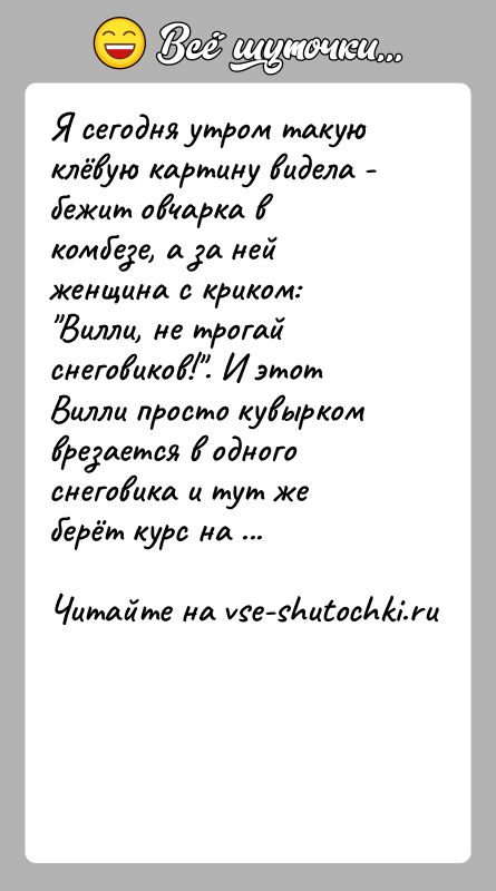 История: Я сегодня утром такую клёвую картину видела - бежит овчарка в комбезе, а за ней женщина с криком: Вилли, не